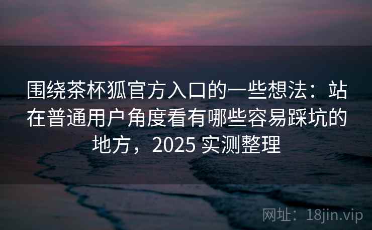 围绕茶杯狐官方入口的一些想法：站在普通用户角度看有哪些容易踩坑的地方，2025 实测整理