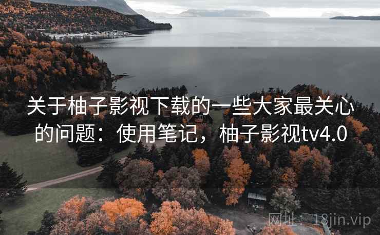 关于柚子影视下载的一些大家最关心的问题:使用笔记,柚子影视tv4.0 关于柚子影视下载的一些大家最关心的问题:使用笔记,柚子影视tv4.0