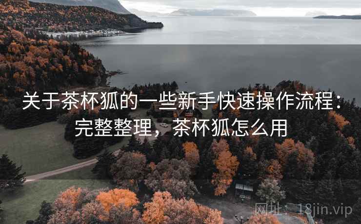 关于茶杯狐的一些新手快速操作流程:完整整理,茶杯狐怎么用 关于茶杯狐的一些新手快速操作流程:完整整理,茶杯狐怎么用