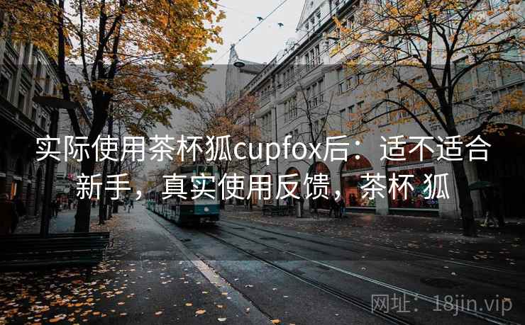 实际使用茶杯狐cupfox后:适不适合新手,真实使用反馈,茶杯 狐 实际使用茶杯狐cupfox后:适不适合新手,真实使用反馈,茶杯 狐