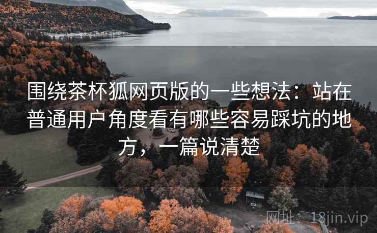 围绕茶杯狐网页版的一些想法：站在普通用户角度看有哪些容易踩坑的地方，一篇说清楚